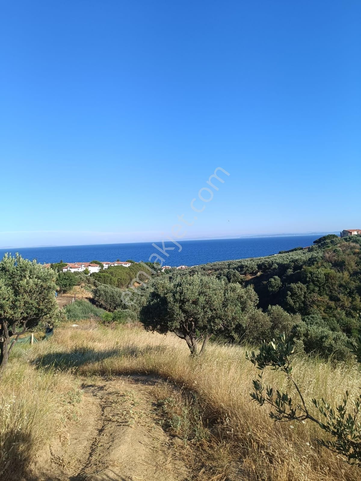 Bulut Yatırımdan 1370 M² Merkeze Yakın Deniz Manzaralı Zeytinlik