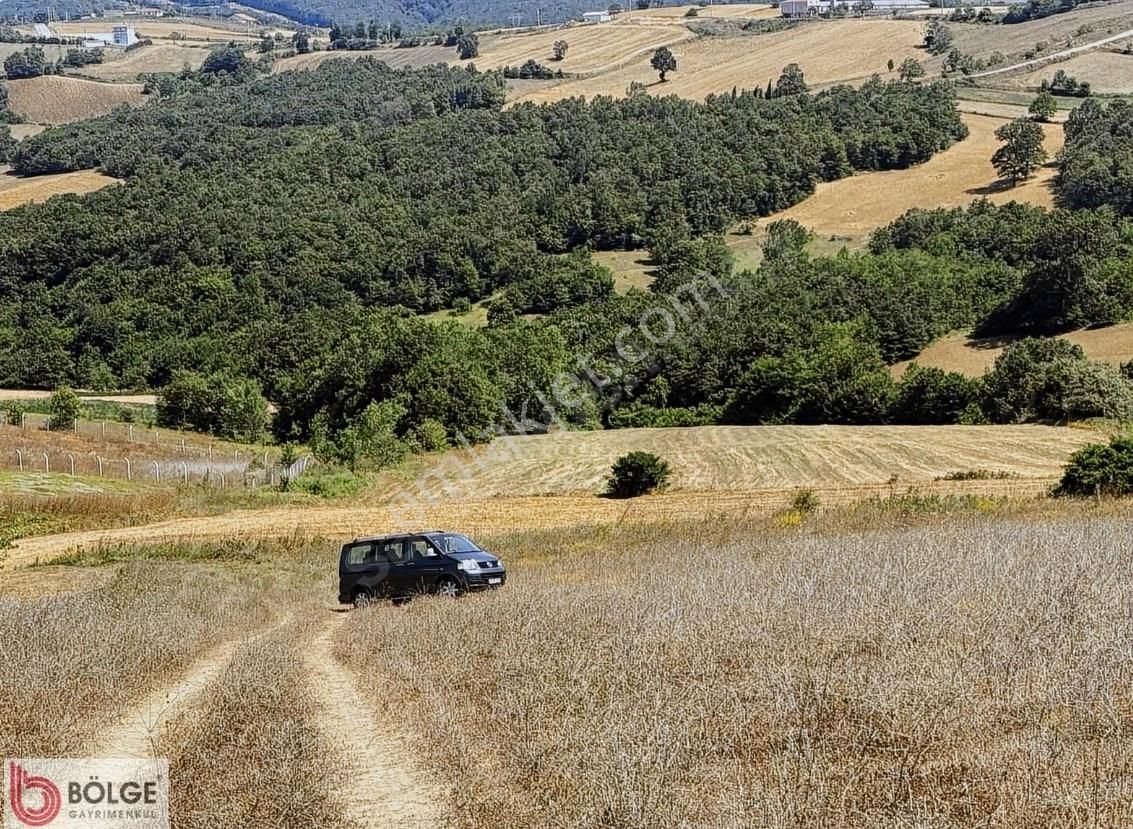 İzmit Nebi Hoca Köyün'de Yatırımlık 2.800 M2 Arazi