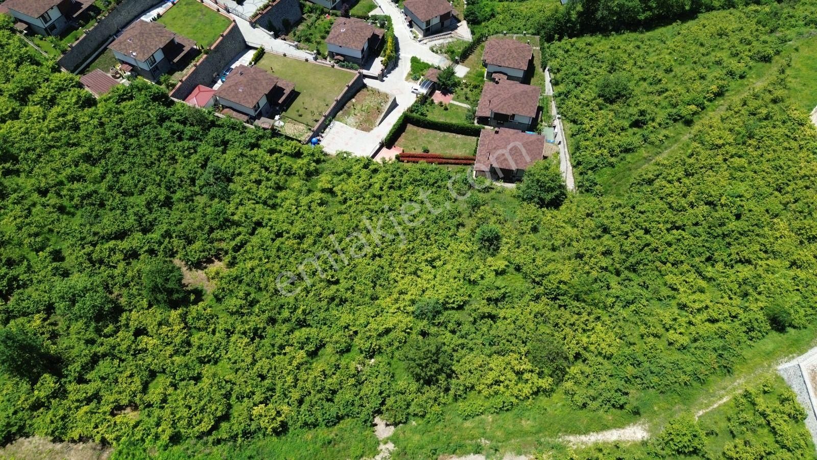 Golden Key Gayrimenkul'den Uğurlu'da Villalık Arazi