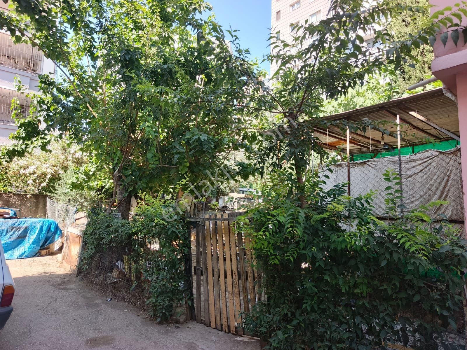 Pınar Mahallesinde 2 Katlı Satılık Müstakil Ev - Görsel 10