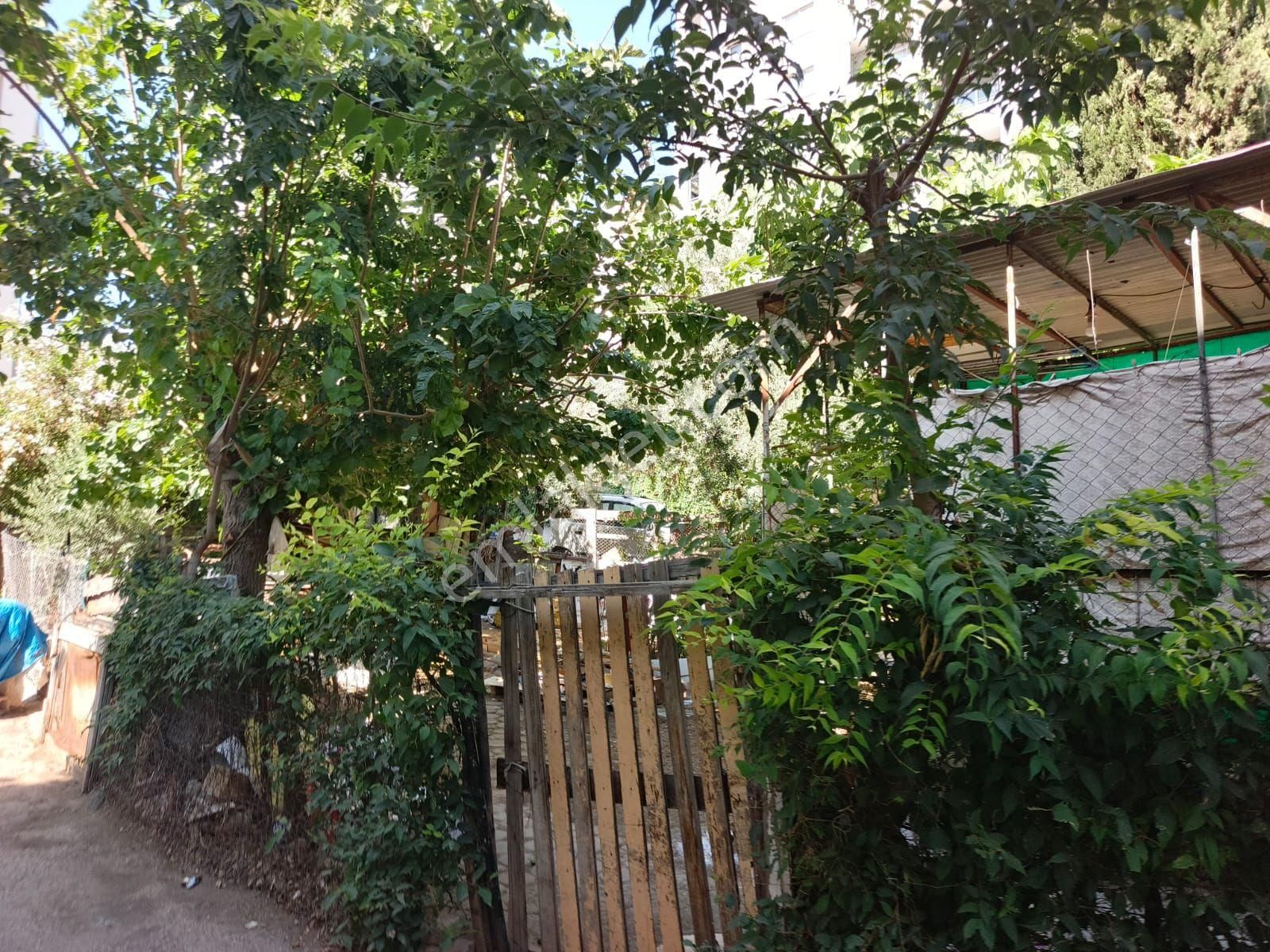 Pınar Mahallesinde 2 Katlı Satılık Müstakil Ev - Görsel 9