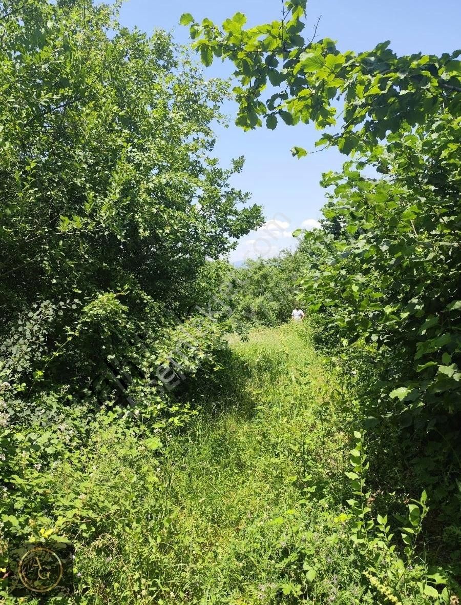 Ahşena'dan Bursa Kestelde Yerleşime Yakın 3495 M2 Satılık Arazi
