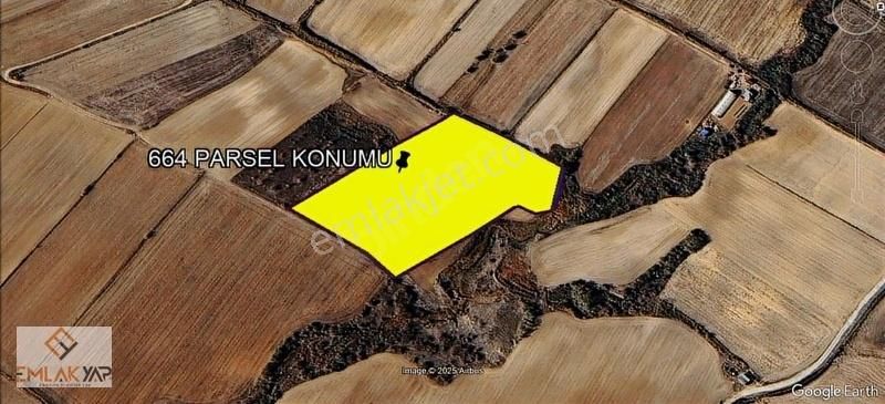 Emlakyap'tan Kırklareli Kavaklı'da 16.900 M2 Uygun Satılık Tarla