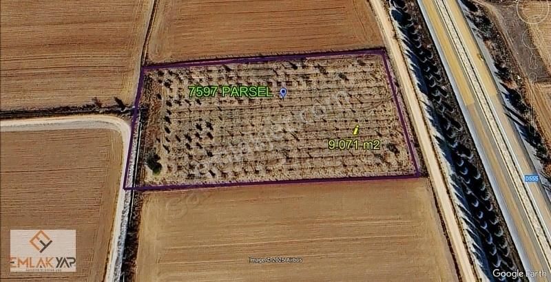 Kırklareli Kavaklı'da Anayola Cephe 9.071 M2 Yatırım Fırsatı