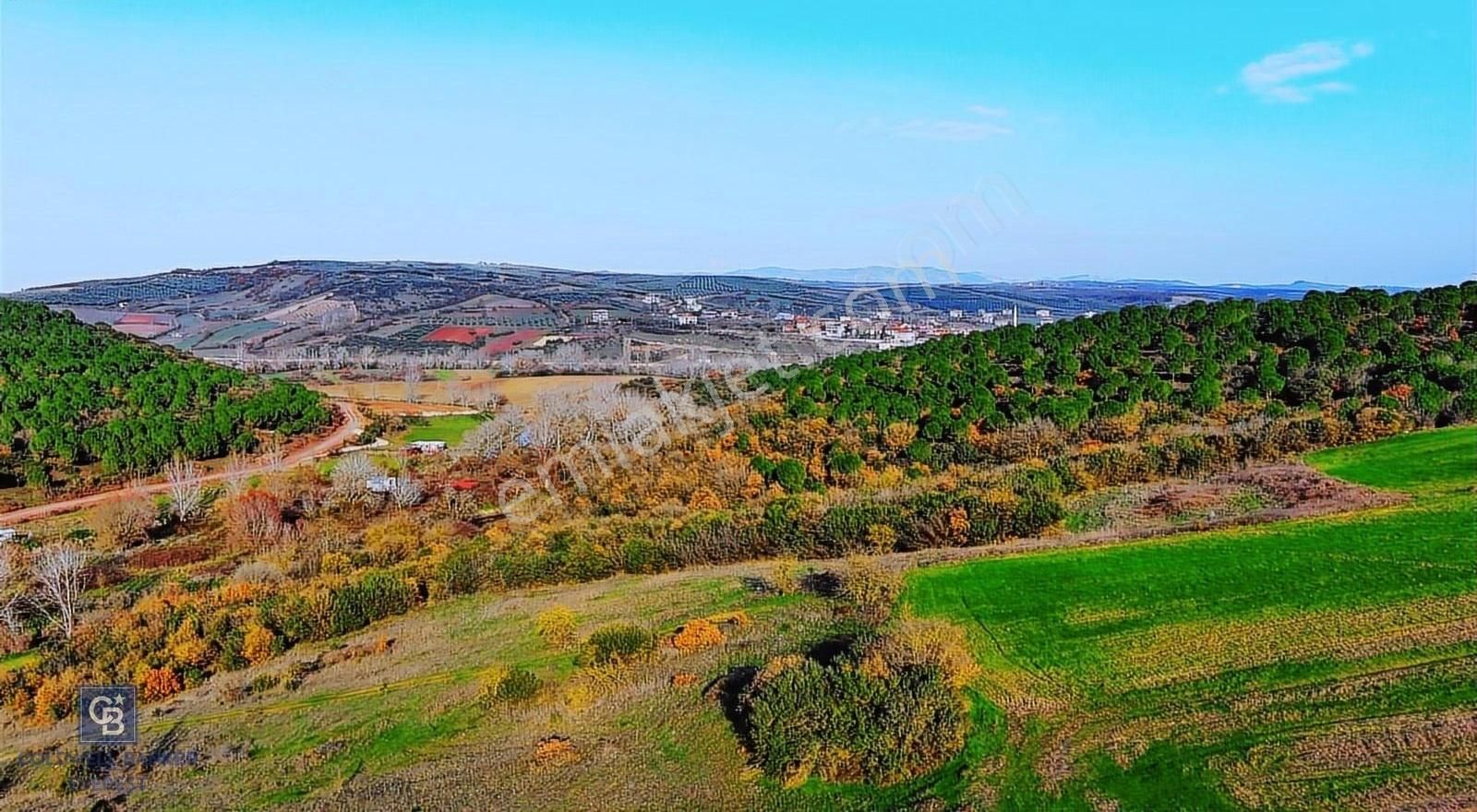 Badırgada Yatırımlık Fırsat Arazi - Görsel 10