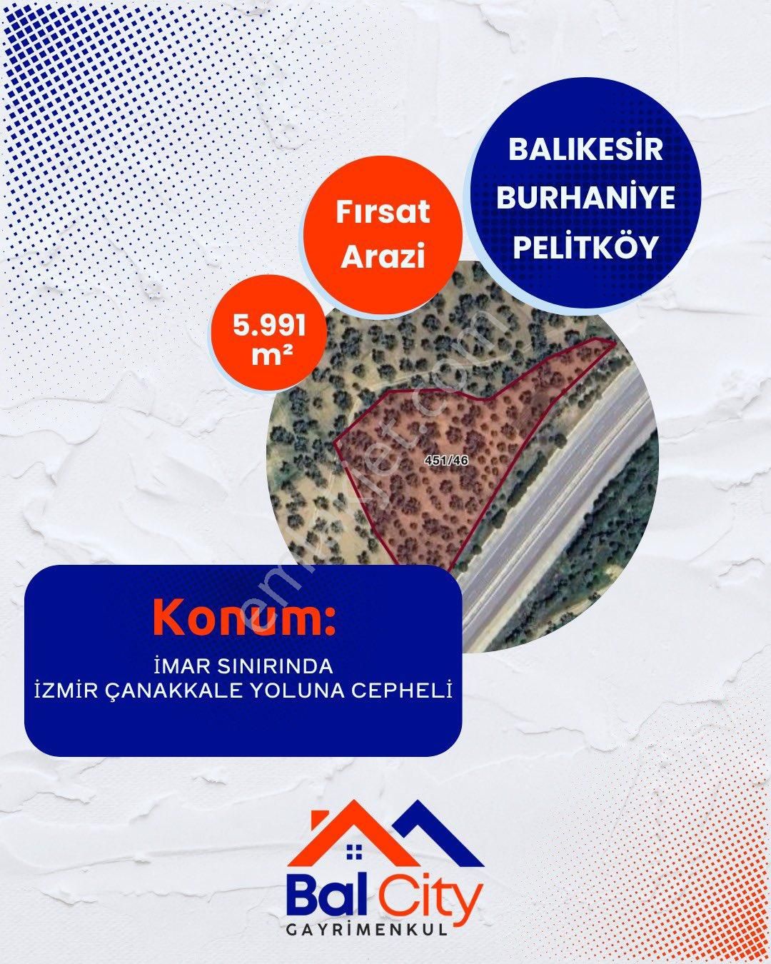 Balıkesir Burhaniye Pelitköyde Sahile Çok Yakın Turistik Bölgede 5.991 M2 Yaşam Alanı Zeytinlik