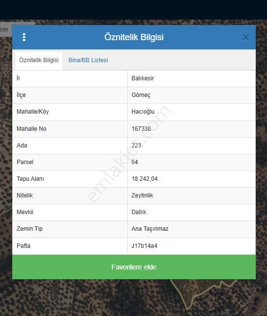 Balıkesir Gömeç' Te Verimli Zeytinlik