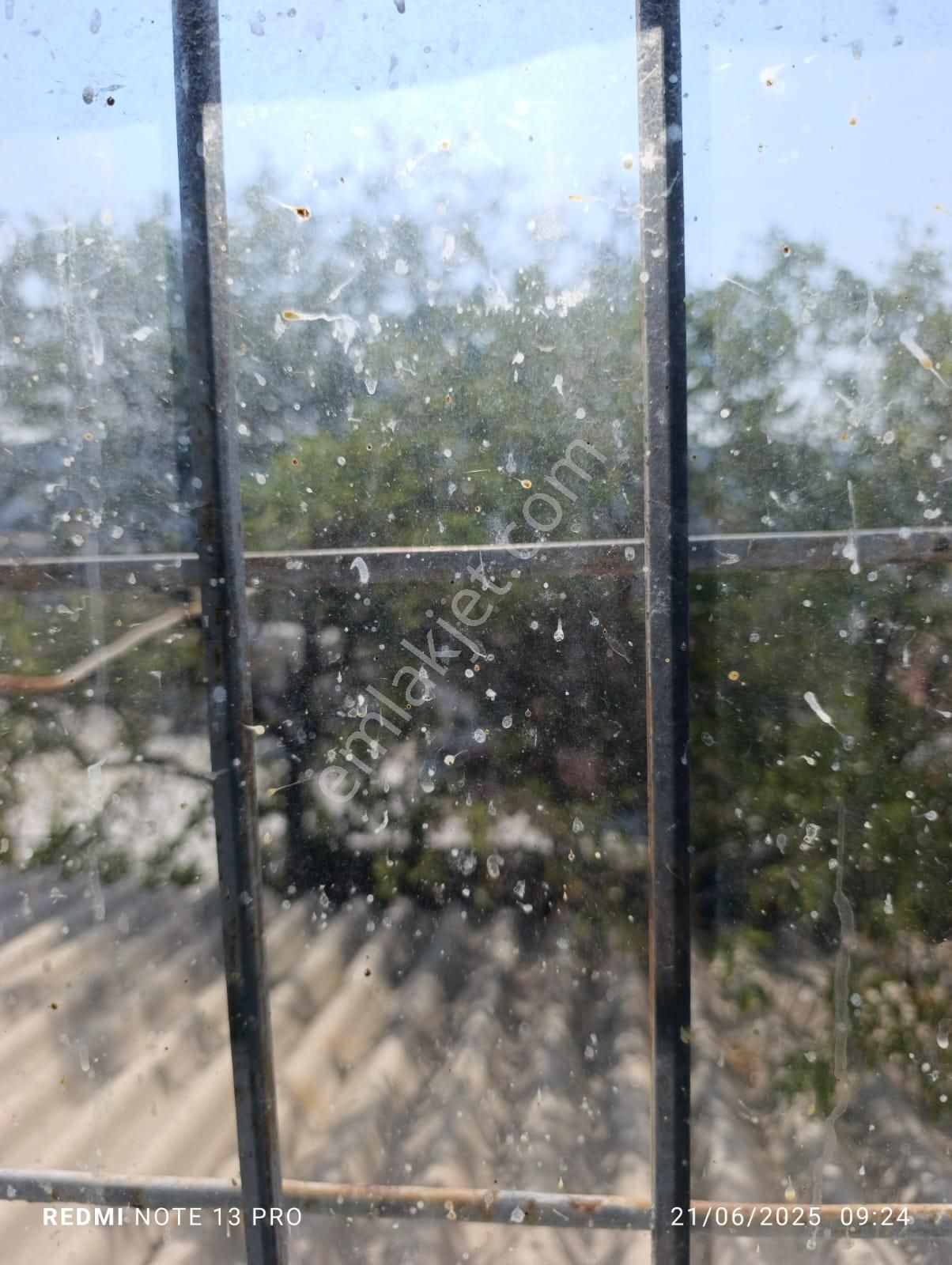 Foça Kocamehmetler Köyünde Satılık Eski Rum Taş Ev - Görsel 9