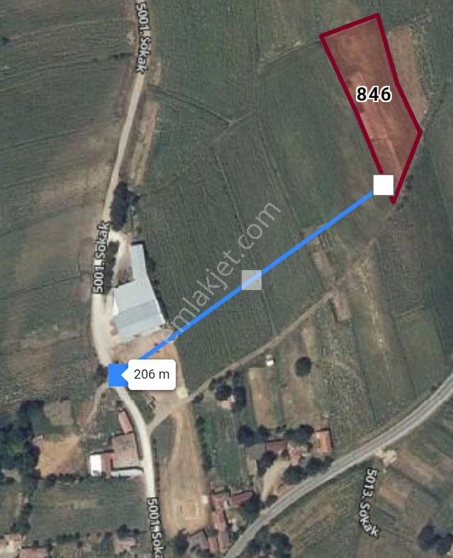 Tekirdağ Hayrabolu Subaşı Köyünde Satılık 660 M2