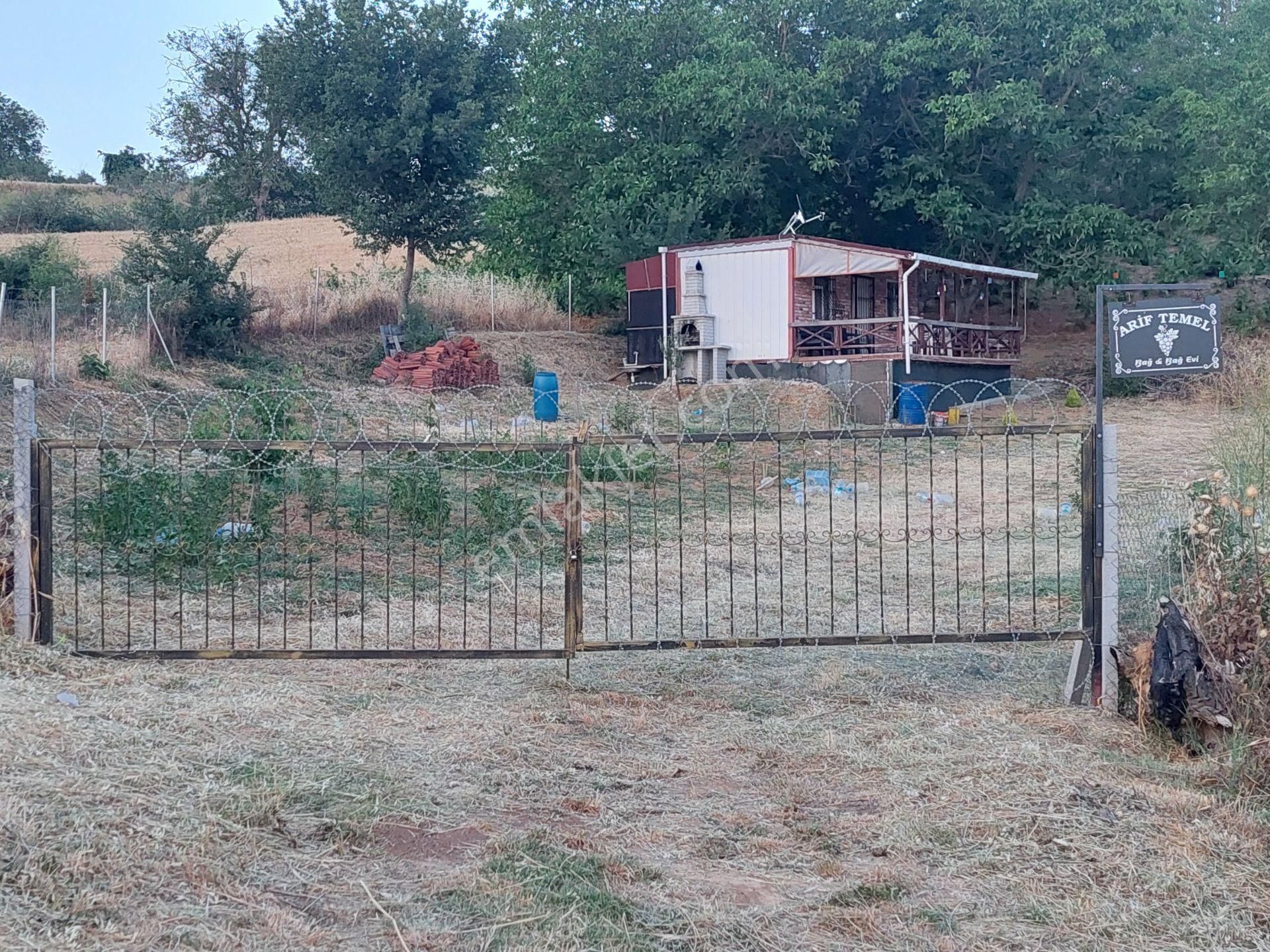 Molla Team'den Tekirdağ İnecikte Yolu Olan Bağyeri