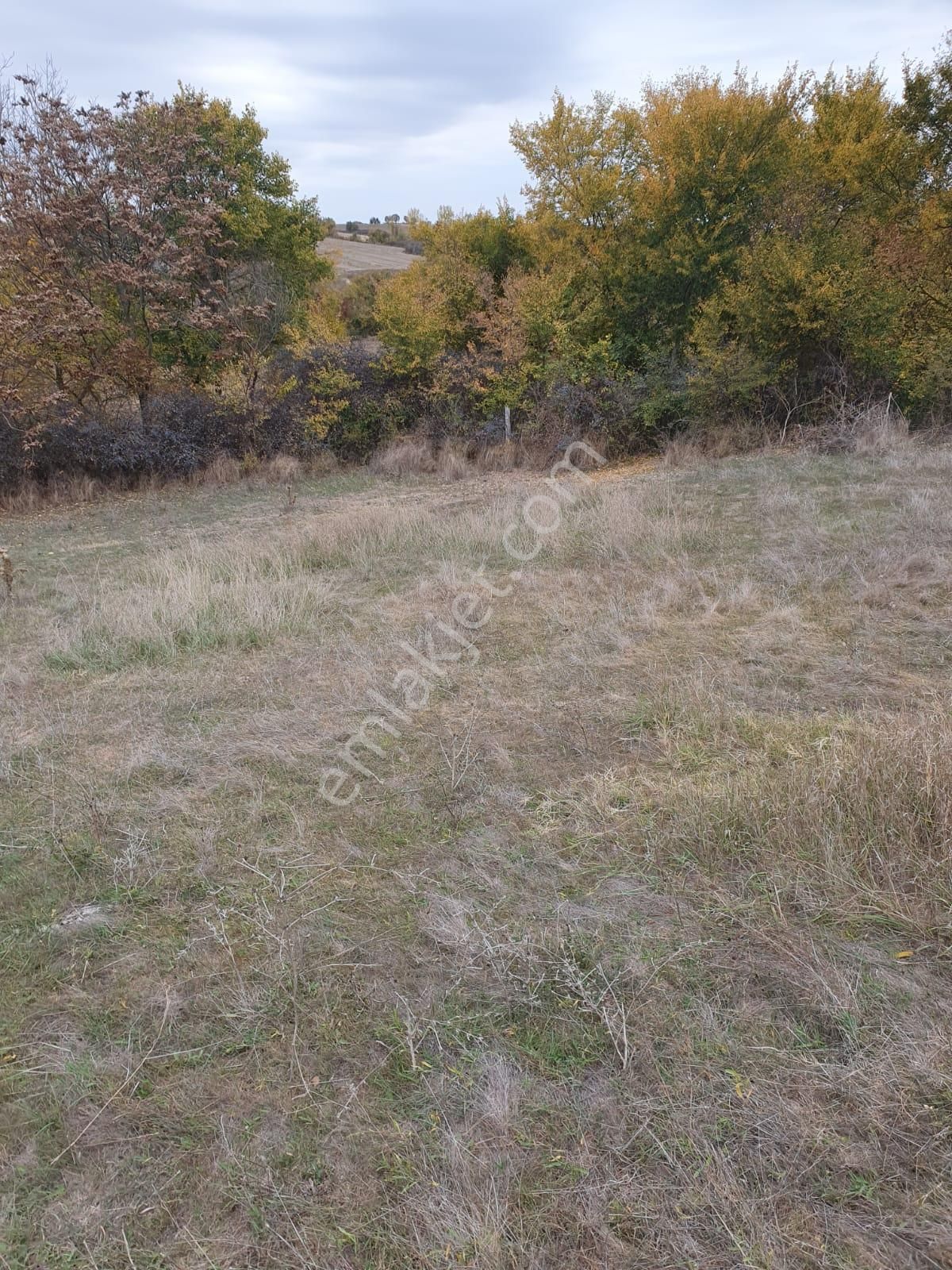 Newcıty Emlaktan Dolhanda 550 Metre Kare Arsa