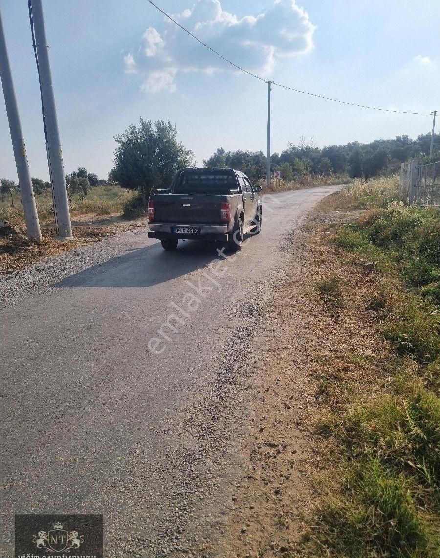 Kuşadası Cınarkoyde Satılık Müstakil Tapulu 3700m2 Ana Yola Sıfır Bahçe - Görsel 17
