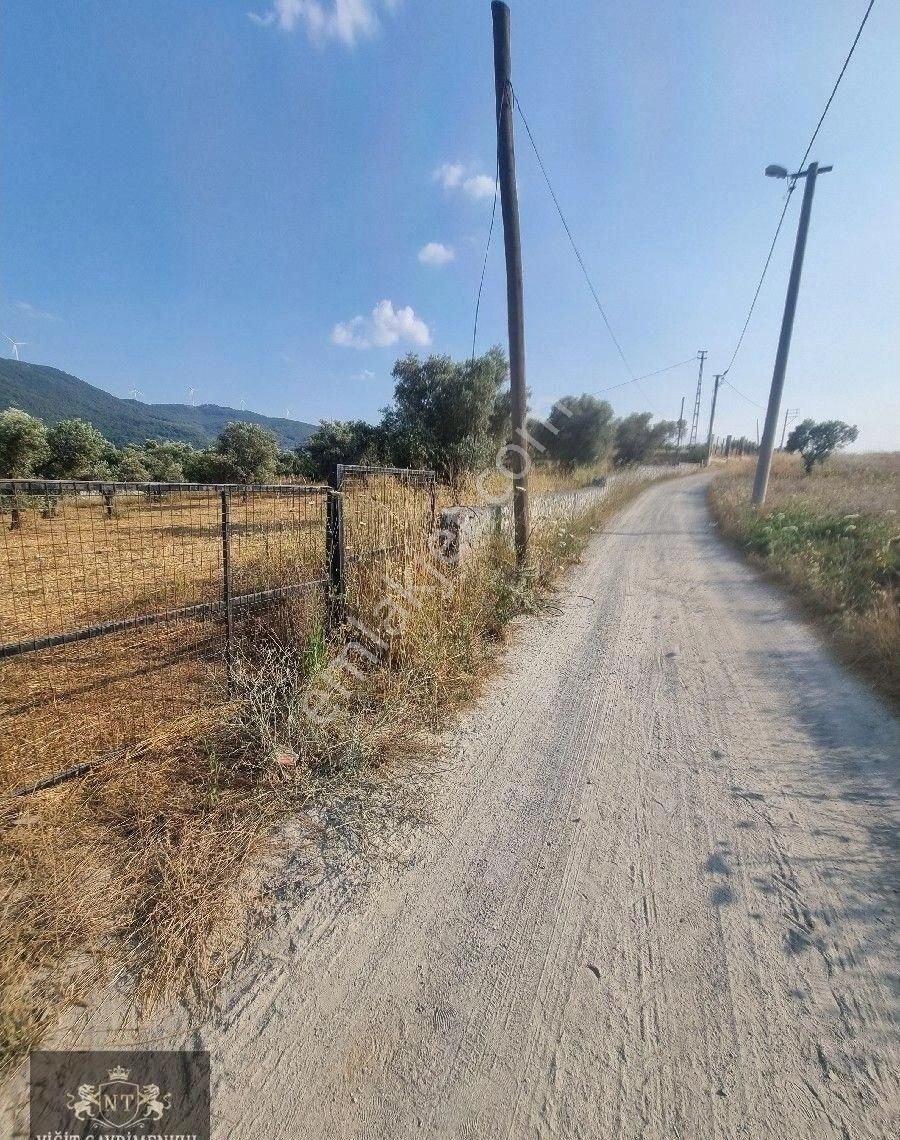 Kuşadası Cınarkoyde Satılık Müstakil Tapulu 3700m2 Ana Yola Sıfır Bahçe - Görsel 14