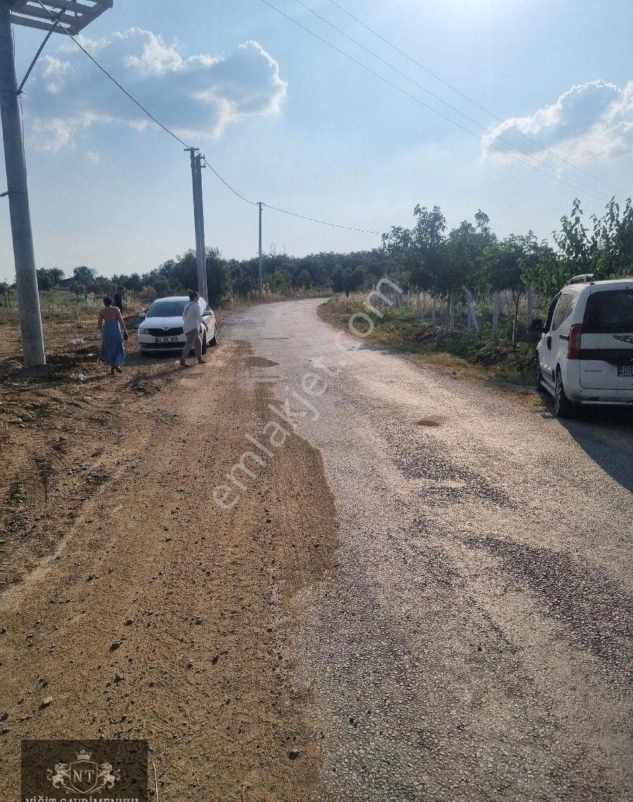 Kuşadası Cınarkoyde Satılık Müstakil Tapulu 3700m2 Ana Yola Sıfır Bahçe - Görsel 4