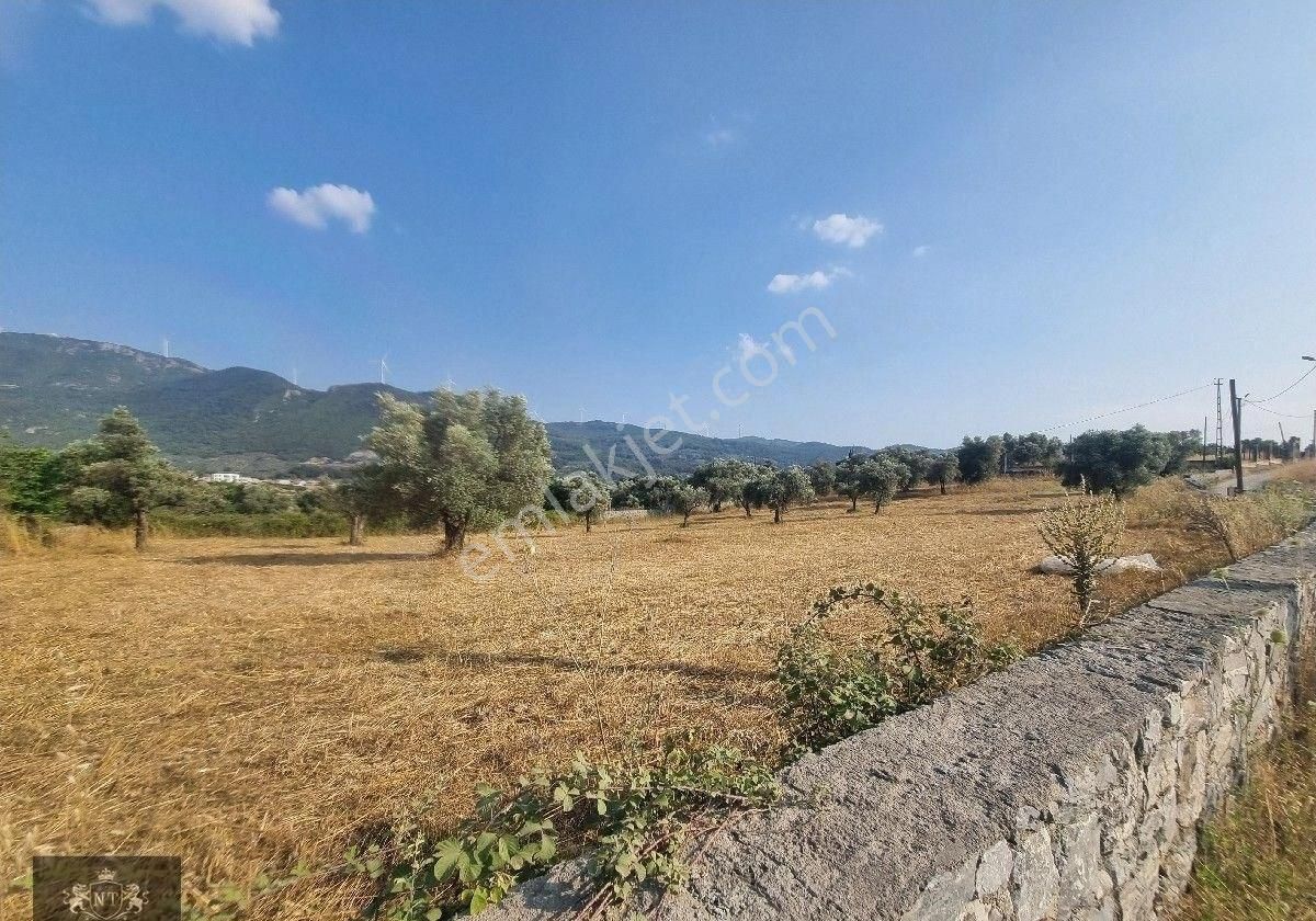 Kuşadası Cınarkoyde Satılık Müstakil Tapulu 3700m2 Ana Yola Sıfır Bahçe - Görsel 20