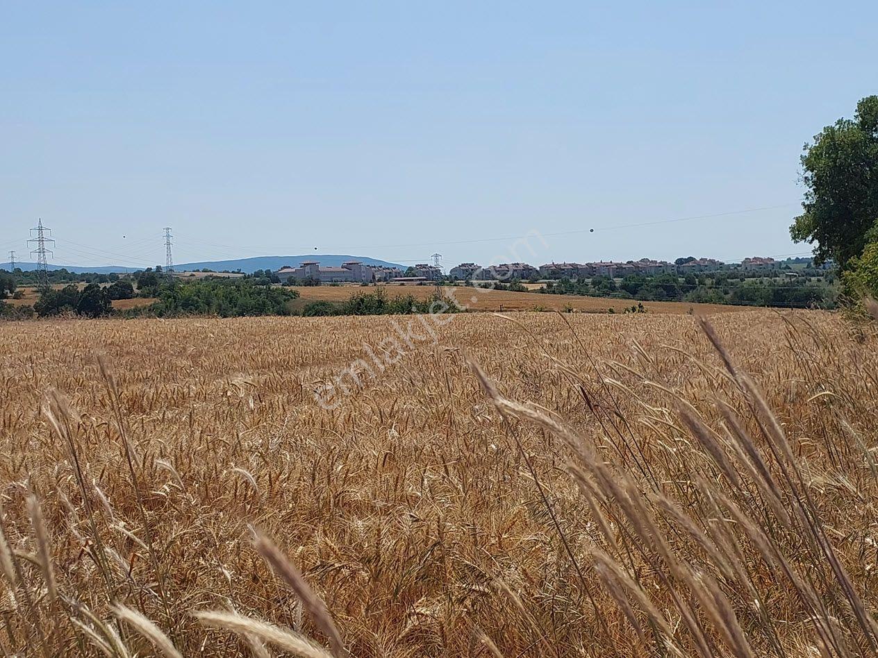 Bursa Mustafakemalpaşa Kavaklı’da Satılık İmara Yakın 6200m2 Tarla - Görsel 14
