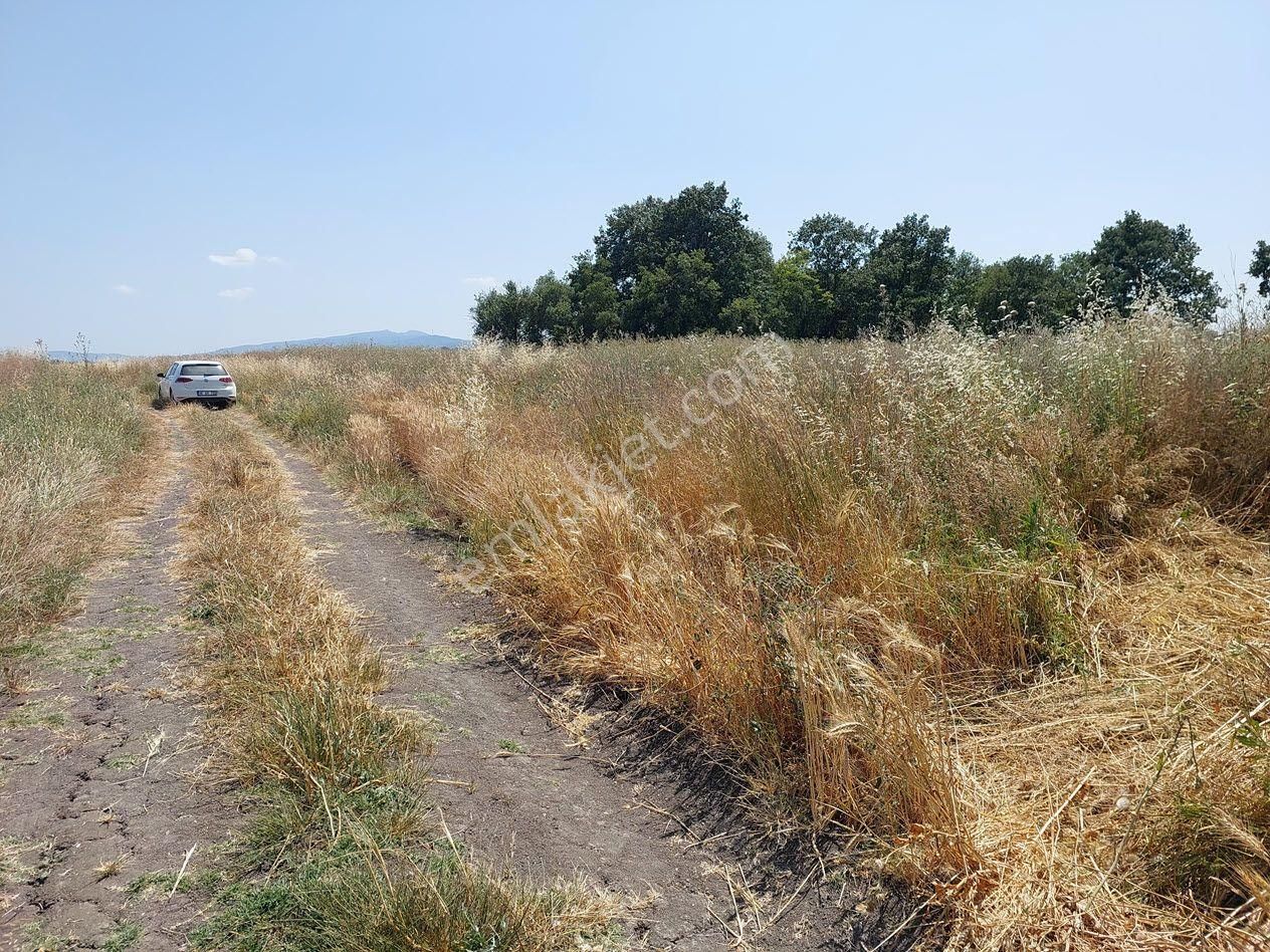 Bursa Mustafakemalpaşa Kavaklı’da Satılık İmara Yakın 6200m2 Tarla