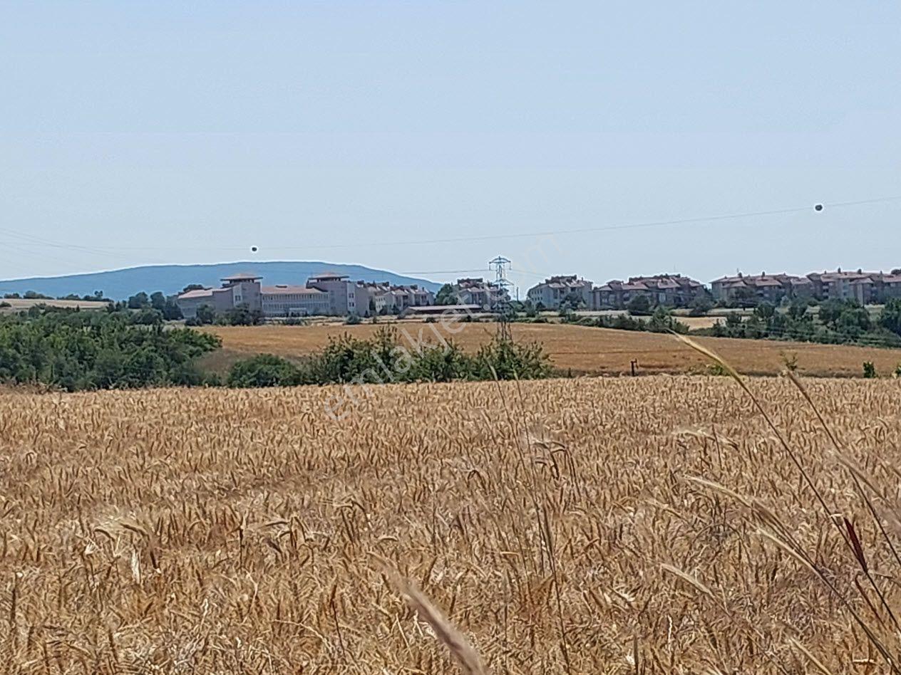 Bursa Mustafakemalpaşa Kavaklı’da Satılık İmara Yakın 6200m2 Tarla - Görsel 10