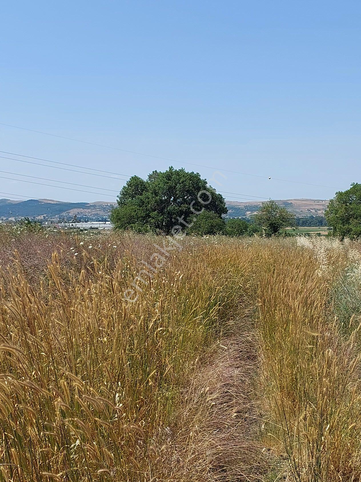 Bursa Mustafakemalpaşa Kavaklı’da Satılık İmara Yakın 6200m2 Tarla - Görsel 7