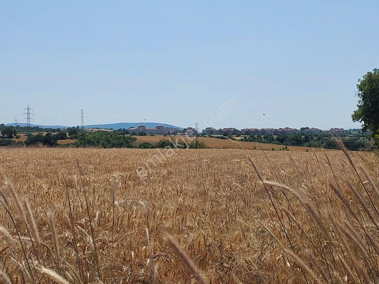 Bursa Mustafakemalpaşa Kavaklı’da Satılık İmara Yakın 6200m2 Tarla - Görsel 8