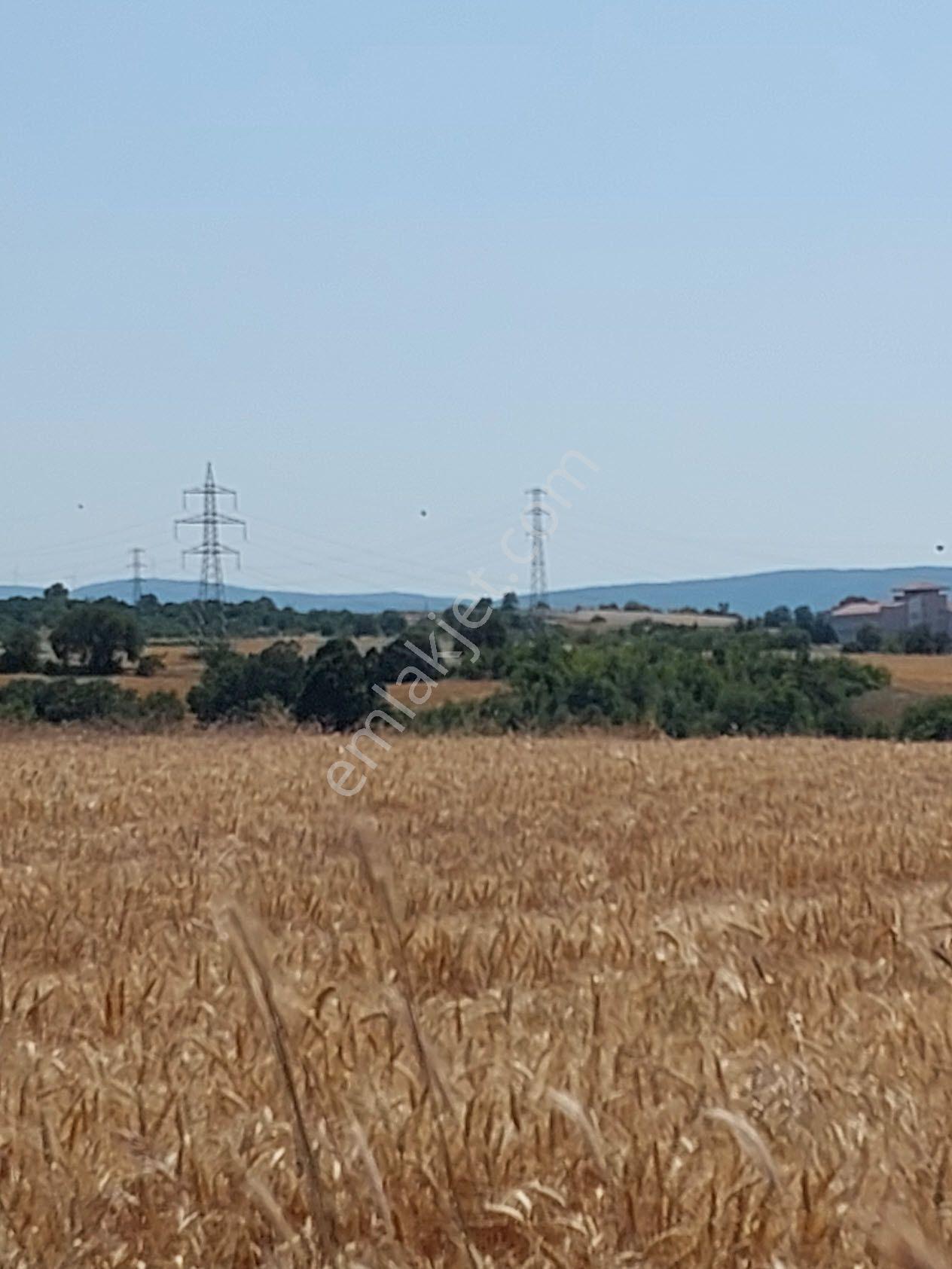 Bursa Mustafakemalpaşa Kavaklı’da Satılık İmara Yakın 6200m2 Tarla - Görsel 15