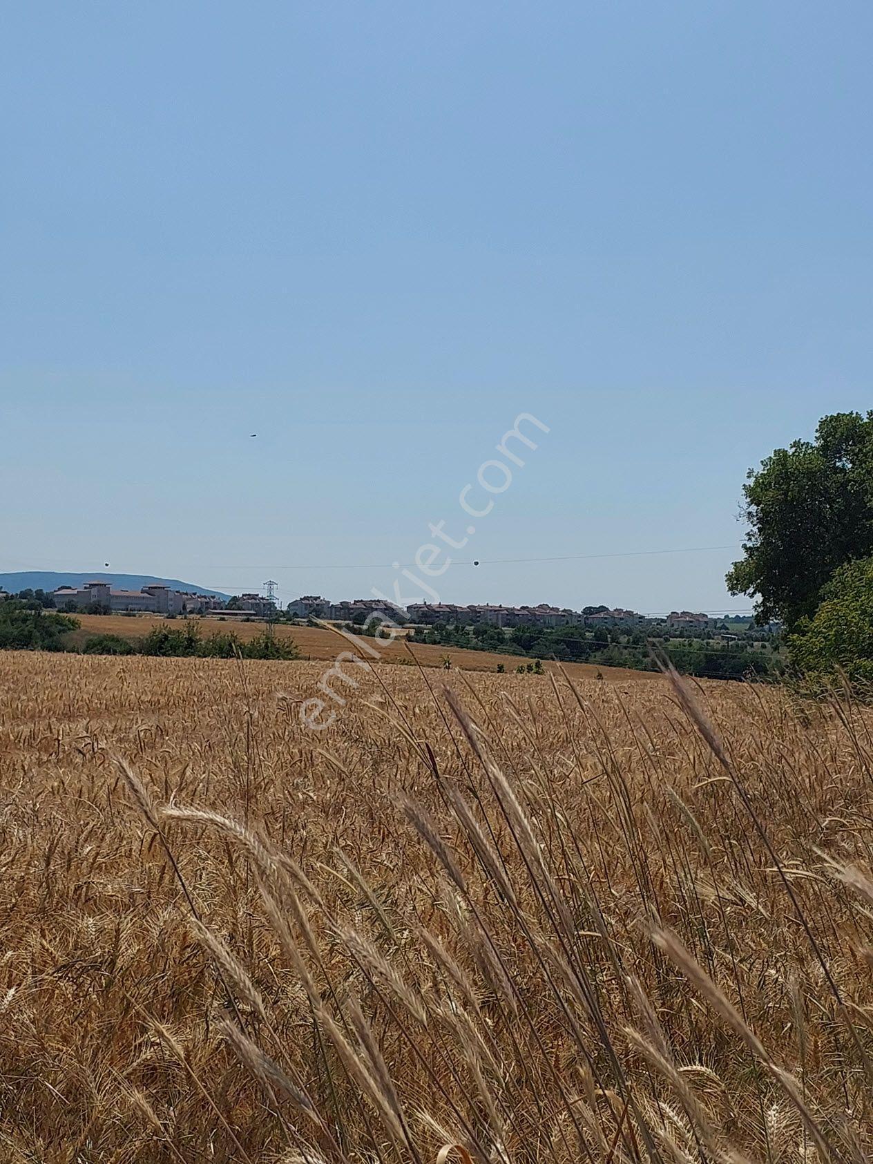 Bursa Mustafakemalpaşa Kavaklı’da Satılık İmara Yakın 6200m2 Tarla - Görsel 13