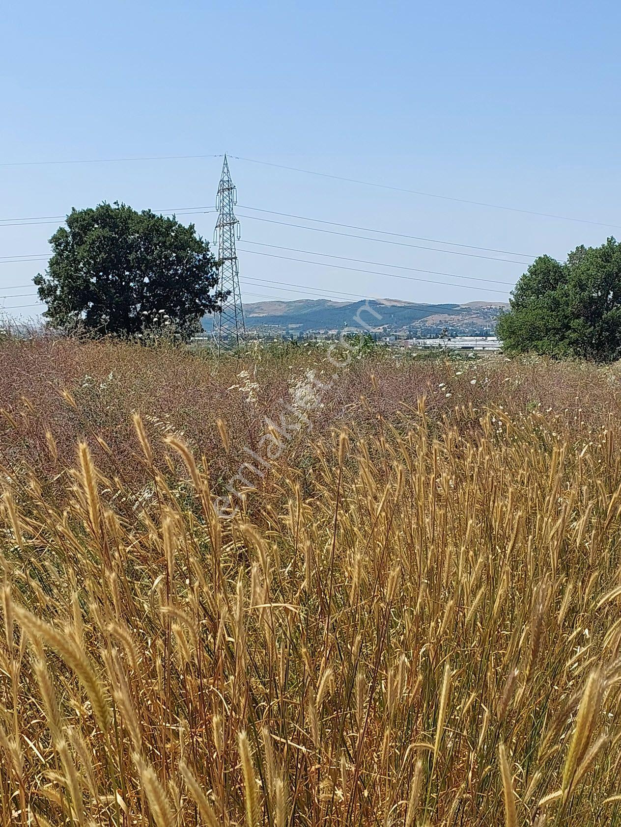 Bursa Mustafakemalpaşa Kavaklı’da Satılık İmara Yakın 6200m2 Tarla - Görsel 6