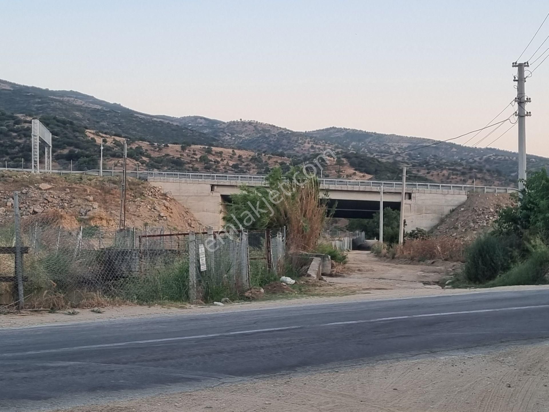 Aydın Nazilli Yöntem Emlaktan Yenipazar Donduran Mahallesinde Satılık İncir Bahçesi - Görsel 3