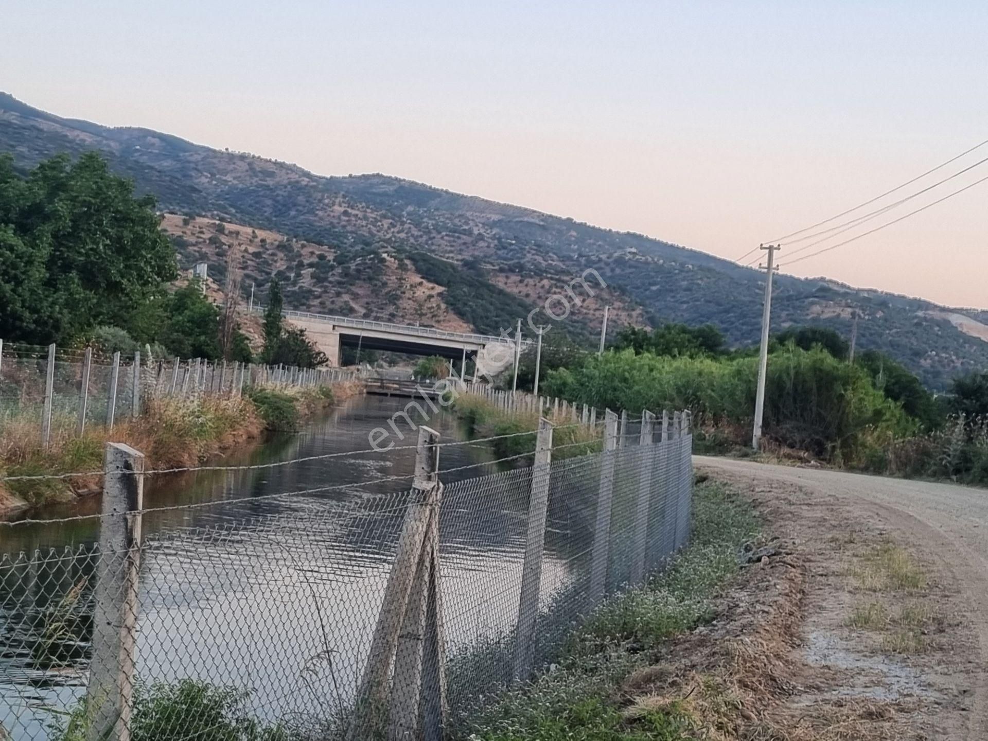 Aydın Nazilli Yöntem Emlaktan Yenipazar Donduran Mahallesinde Satılık İncir Bahçesi - Görsel 5