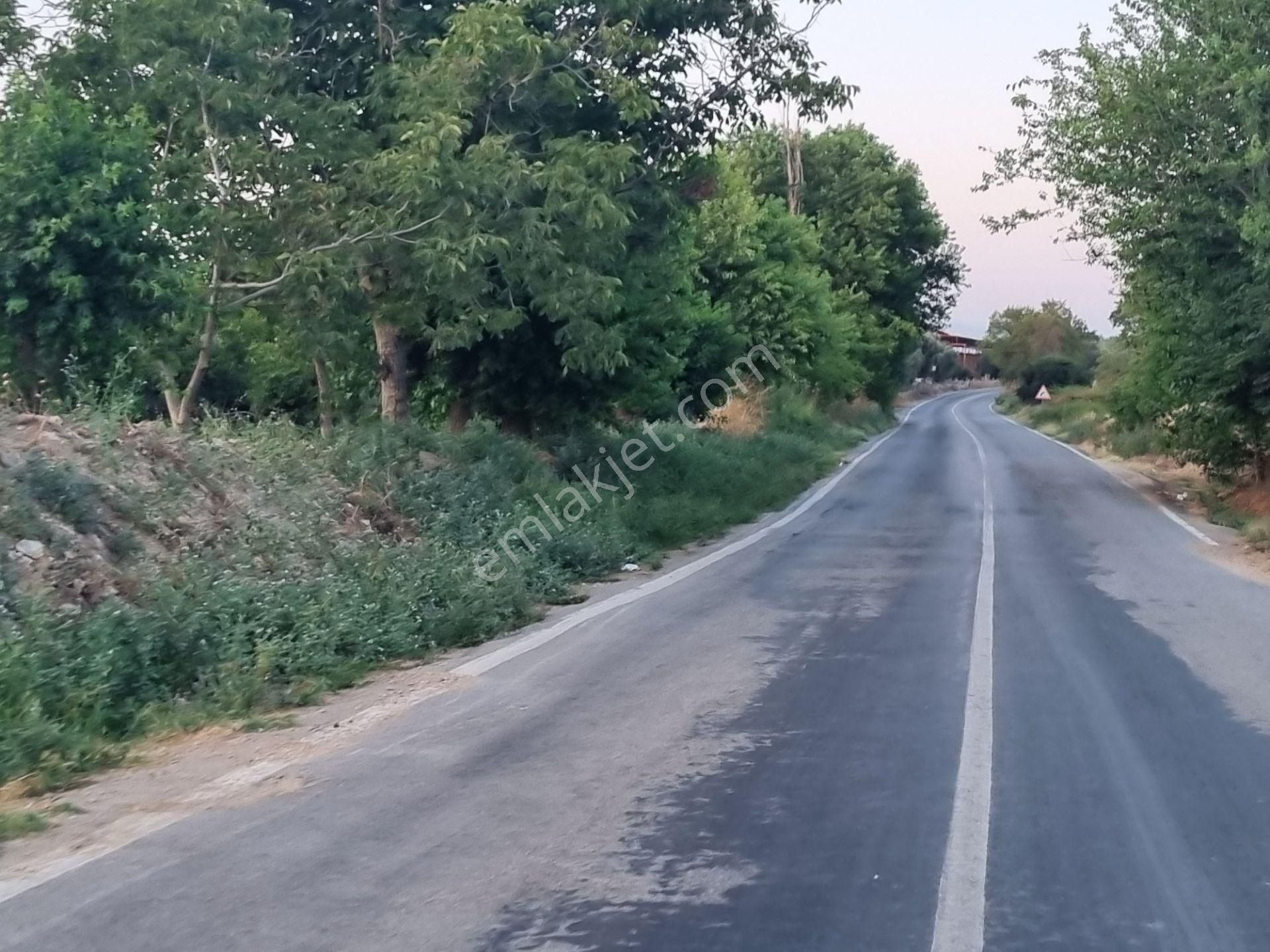 Aydın Nazilli Yöntem Emlaktan Yenipazar Donduran Mahallesinde Satılık İncir Bahçesi - Görsel 2