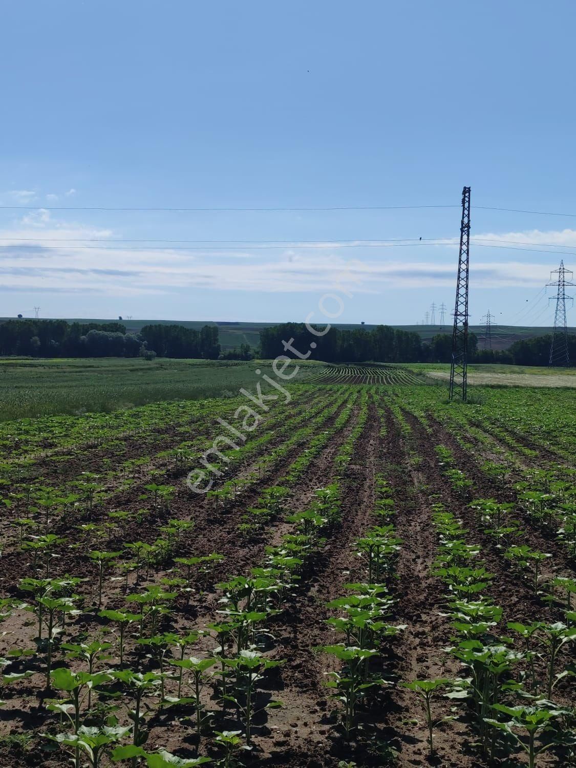 Köşençiftliğinde Satılık 1985 M2 Arazi