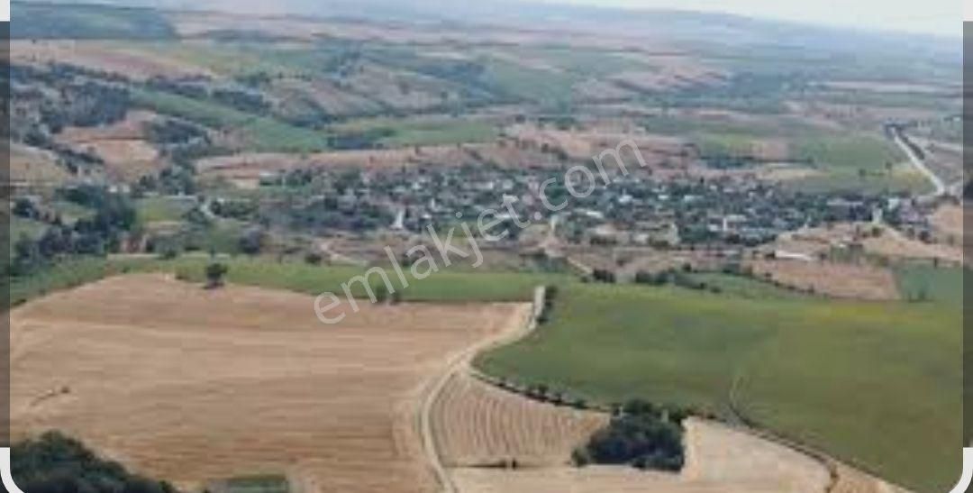 Tekirdağ Hayrabolu Emiryakup Satilik Tarla