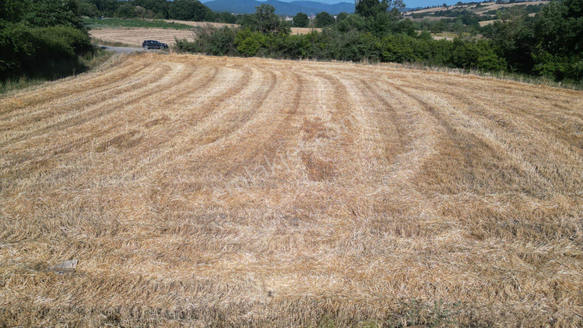 Kocaeli Karamürsel İnebeyli Mahallesi Satılık Tarla 8326 M2 - Görsel 11