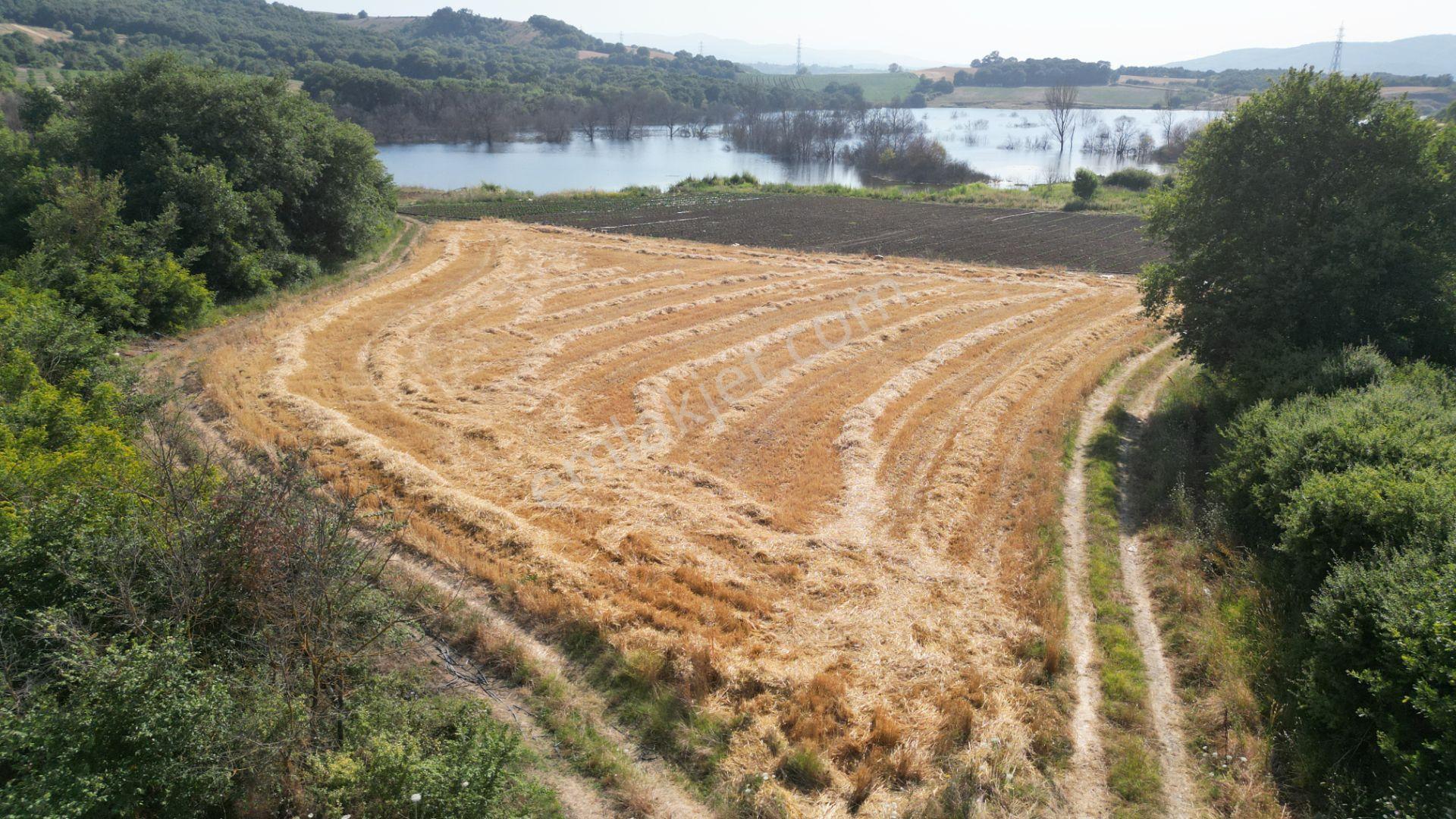 Kocaeli Karamürsel İnebeyli Mahallesi Satılık Tarla 8326 M2 - Görsel 8