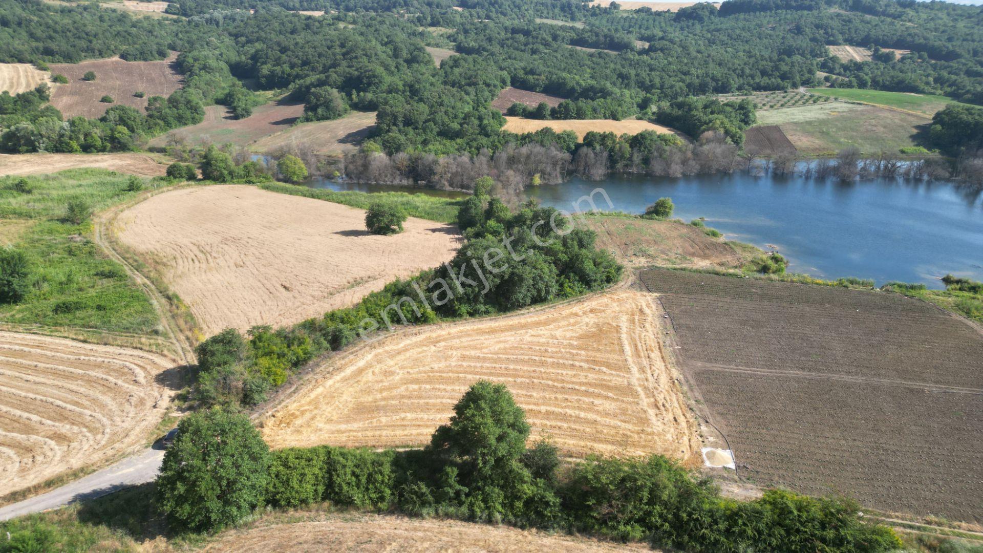 Kocaeli Karamürsel İnebeyli Mahallesi Satılık Tarla 8326 M2 - Görsel 5