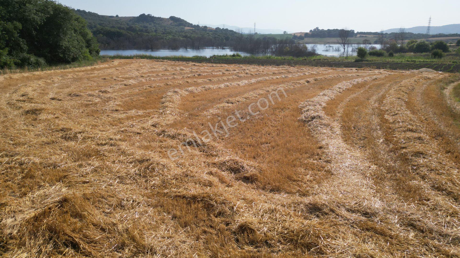 Kocaeli Karamürsel İnebeyli Mahallesi Satılık Tarla 8326 M2 - Görsel 10
