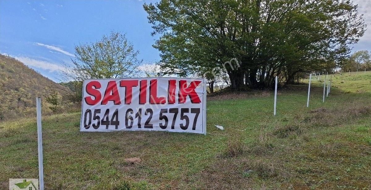 Samsun Kavak Tekke De Bölgenin En Büyük Arazisi,168.925.95 M2 Tek Tapu-tek İmza