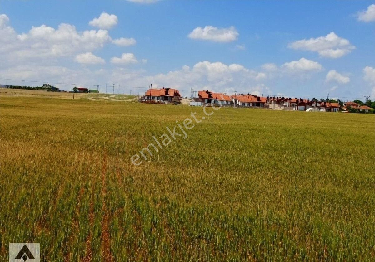 My Ekipdenankara Sincan Temelli Gazi De İmarlı İfrazlı Yerleşime Yakın Resmi Yola Cemüstakil Arsa - Görsel 5
