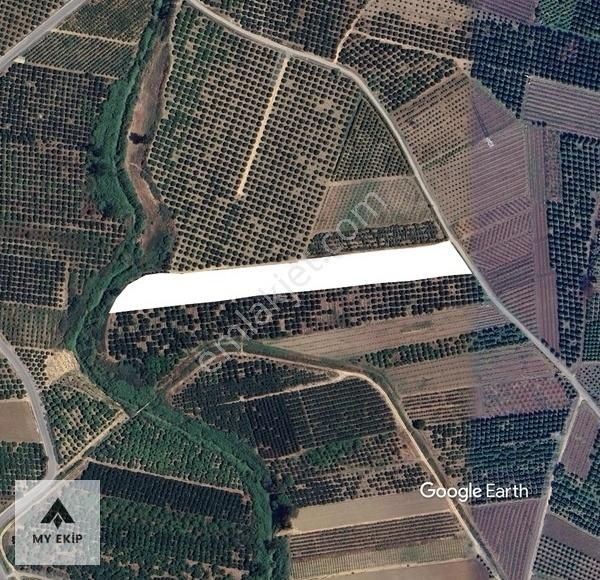 Bu Fırsat Kaçmaz - Görsel 3