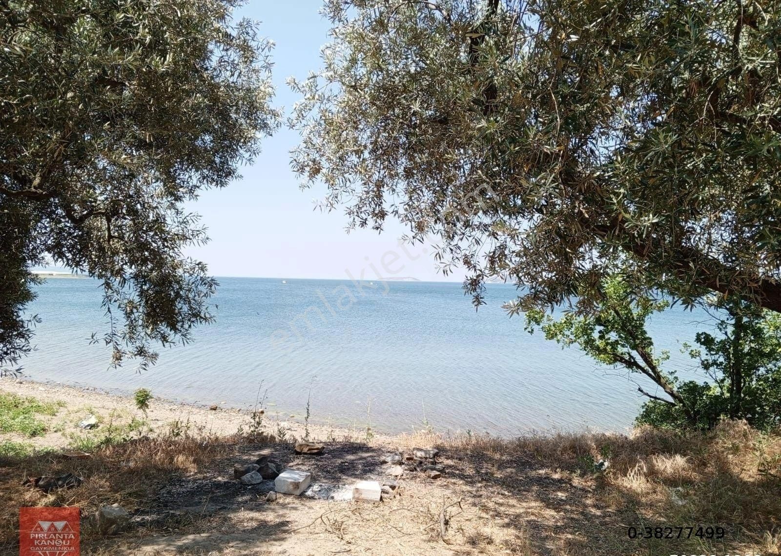 Balıkesir Bandırma Edincik Mh. Atizi Mevkinde 2387 M2 Satılık Zeytinlik, Denize Sıfır