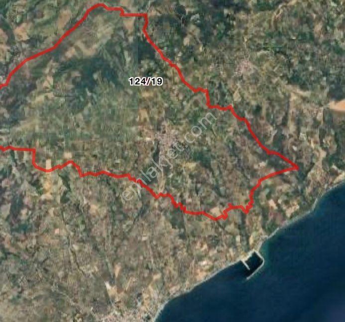 Tekirdağ Şarköy Çınarlı Da 3000 Metre Bağ Tapulu Kiraz Bahçesi - Görsel 29