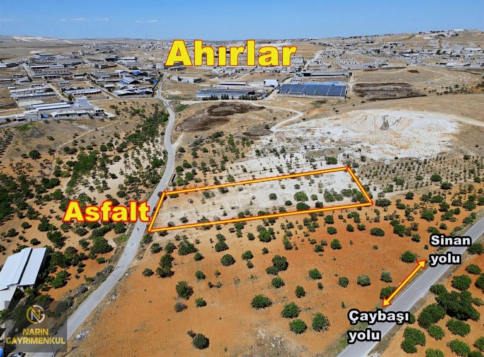 Oğuzeli Çaybaşı Mahallesinde Asfalt Üstü Fıstık Bahçesi - Görsel 4