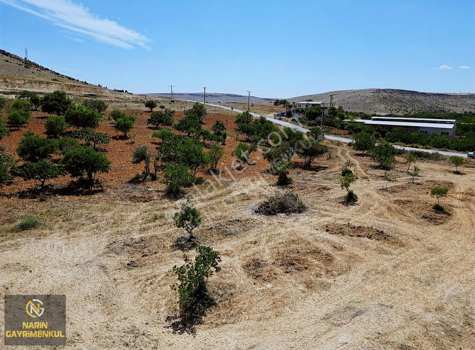 Oğuzeli Çaybaşı Mahallesinde Asfalt Üstü Fıstık Bahçesi - Görsel 3