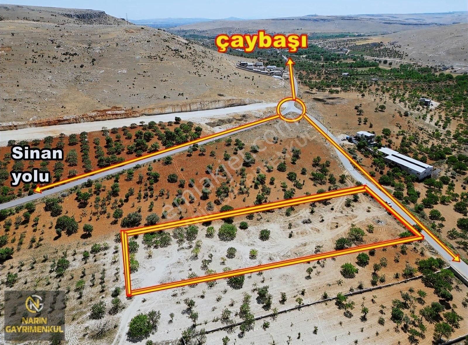 Oğuzeli Çaybaşı Mahallesinde Asfalt Üstü Fıstık Bahçesi - Görsel 7