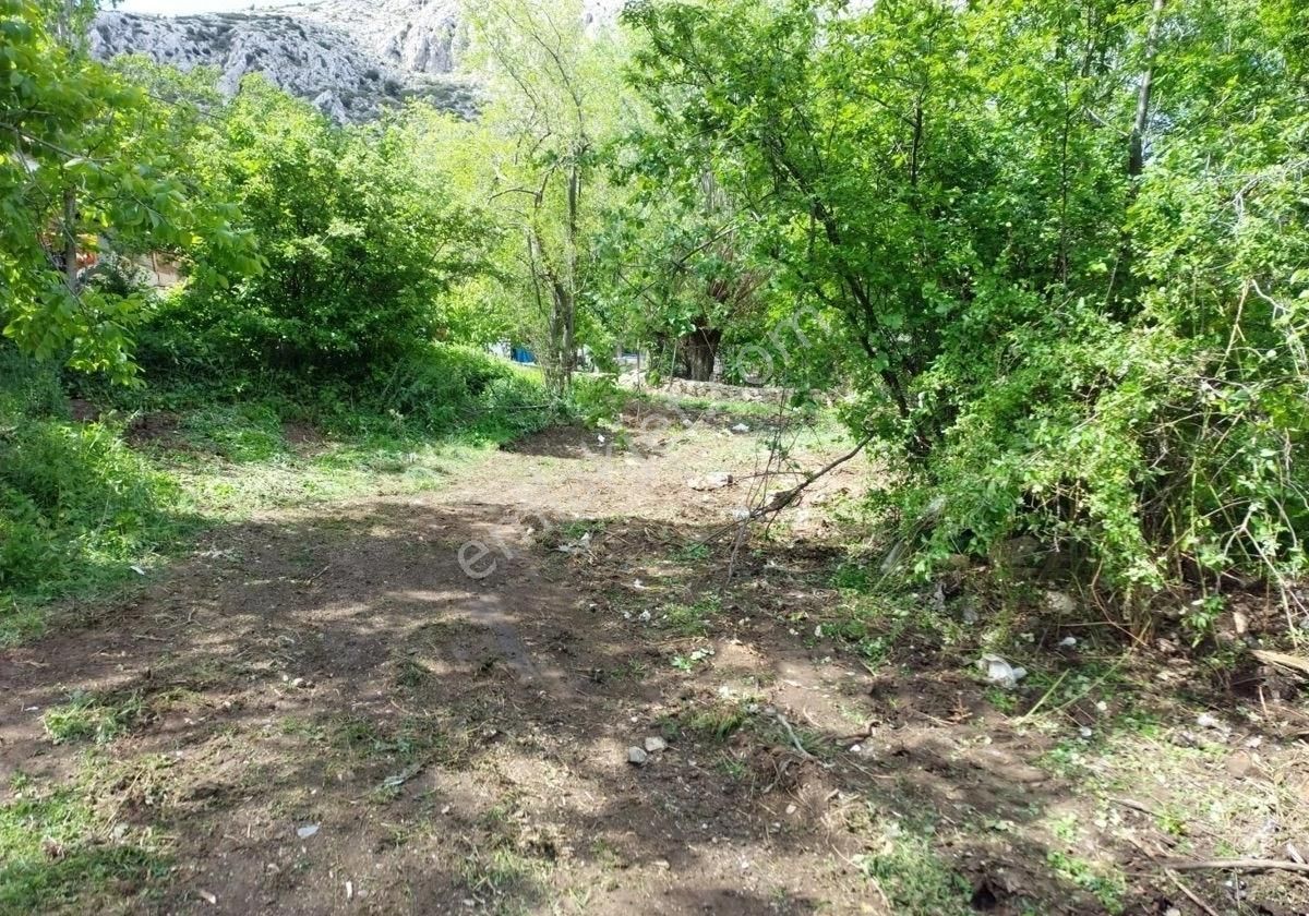 Burdur İli Sarıova Köyünde Satılık Bahçe