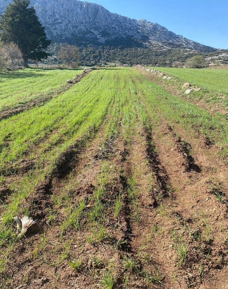 Burdur İli Merkez Sarıova Köyünde Yayladaki Her Bütçeye Uygun Yerimiz Satılıktır.