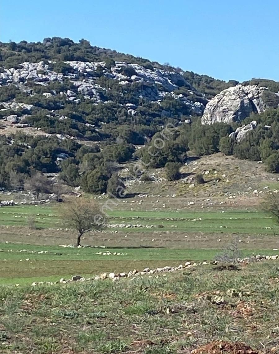 Burdur Merkez Sarıova Köyünde Yaylada Resmi Yolu Olan Sulama Suyu Olan Yerimiz Satılıktır.