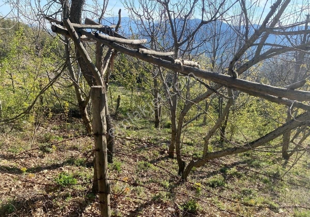Burdur İli Kartalpınar Köyünde Satılık Hobi Bahçesi