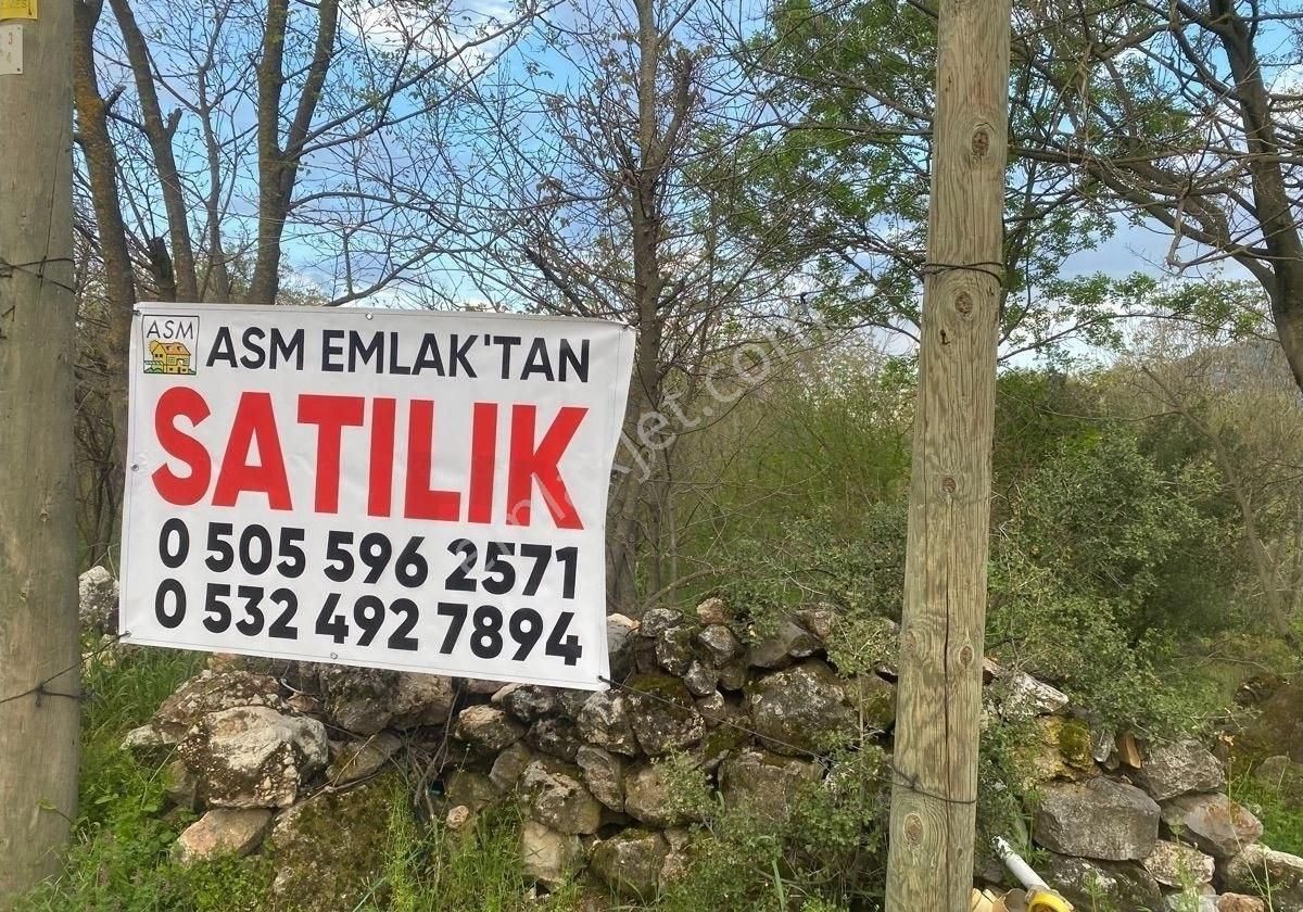 Burdur İli Çeltikçi İlçesi Kuzköy Köyünde Köy Yerleşim Alanı İçinde Satılık Bahçe