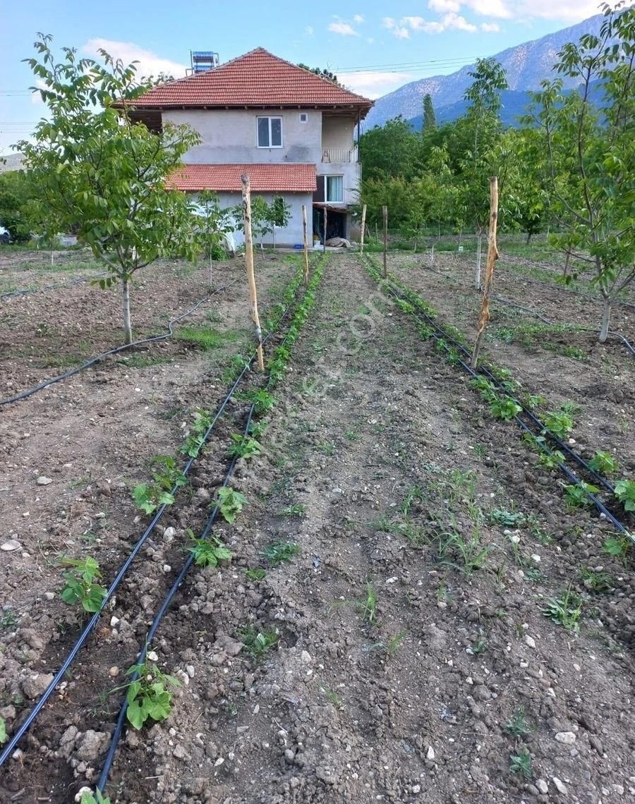 Burdur İli Çeltikçi İlçesi Bağsaray Köyünde Satılık Tarla